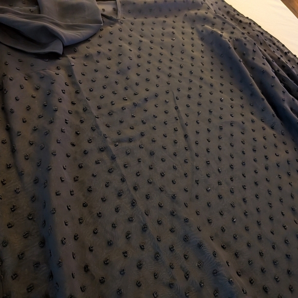 Altuzarra Swiss Dot Sheer Tie-Neck Flowy Elegant Timeless Black Sheer Blouse - Picture 10 of 13